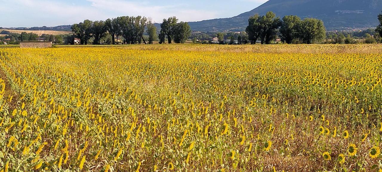 Agriturismo I Melograni Ferentillo Exteriör bild