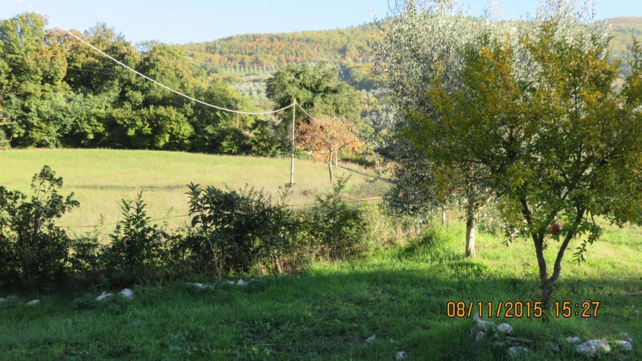 Agriturismo I Melograni Ferentillo Exteriör bild