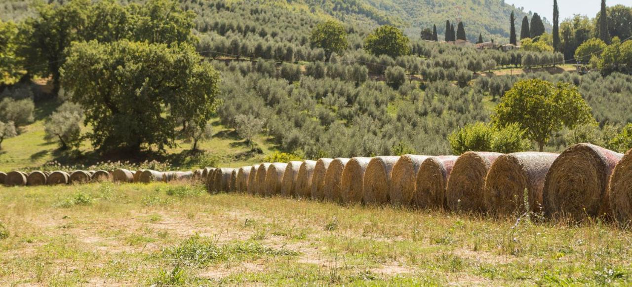 Agriturismo I Melograni Ferentillo Exteriör bild