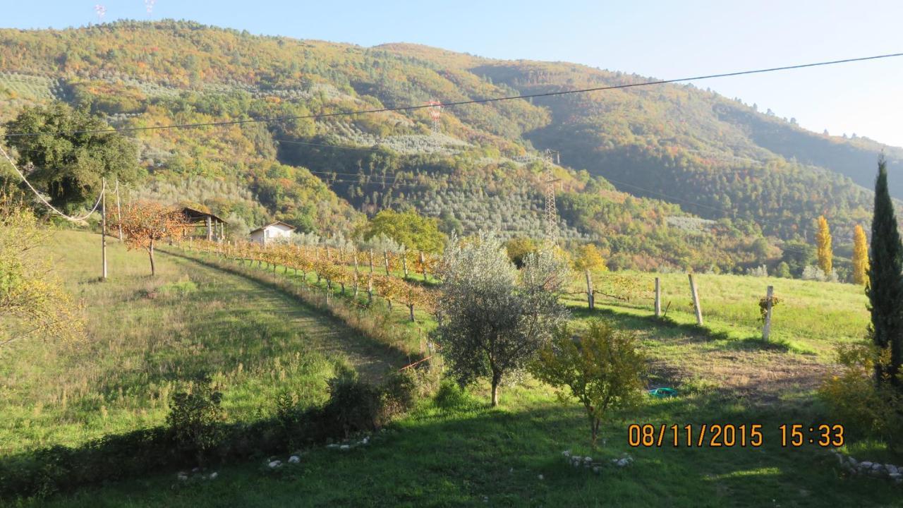 Agriturismo I Melograni Ferentillo Exteriör bild