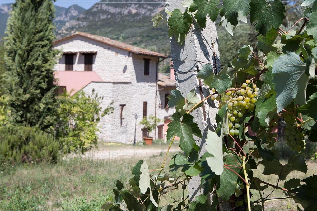 Agriturismo I Melograni Ferentillo Exteriör bild