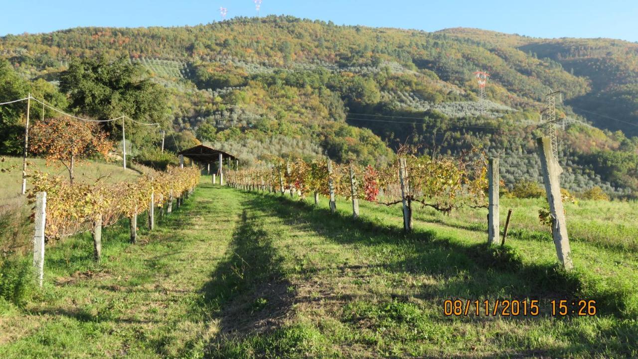 Agriturismo I Melograni Ferentillo Exteriör bild